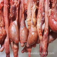 rţ ţһ ຣجFךţţţݾaʳ