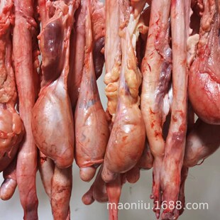 ���r��ţ�� ţ����һ�� �ຣ���جF�ך�ţ��ţ��ţ���ݾ����aʳ��