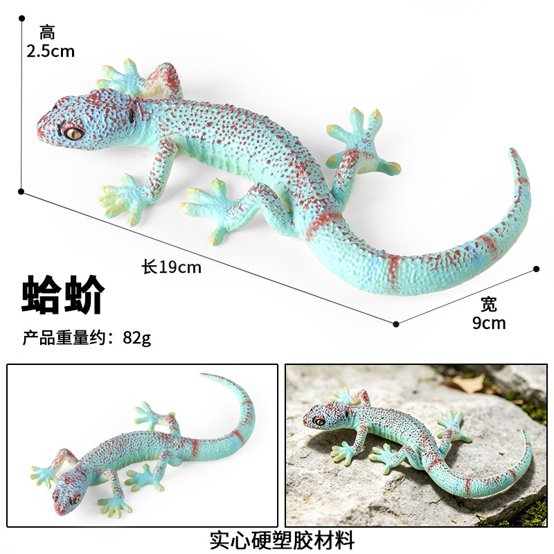 Gecko M-3146