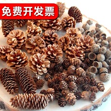 �ɹ��b���������ɻ��ֹ�diyɭ���׃��@�h���ɘ�֦Ұ������[��