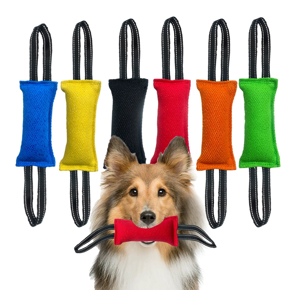 Амазонская дрессировка собаки кусает палку Собака Интерактивная игрушка Маленькая собака бросает моляры и кусает цель Собака кусает сумку