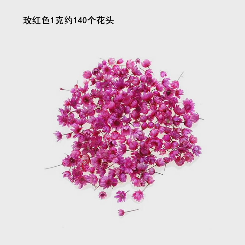 小さな星の花の頭diyのドリップの水晶のボールは装飾のアクセサリのネイルの材料のカラーの手作りの本当の花のドライフラワーを埋めます。|undefined