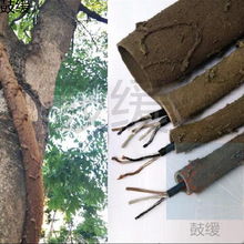 ���ϸɘ�֦늾����@��ľ���ٗl�bܷ�Ƥ������Ę��ٴ�����