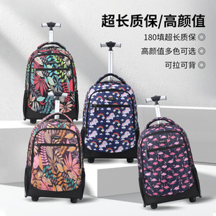 aoking���e���U�������U�䎧݆����С�W�����������p�㻨�����U��