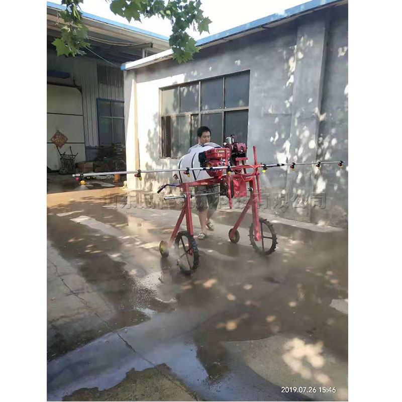 自走式手推打药机 汽油动力农用喷洒设备 蔬菜大棚高杆喷雾打药车