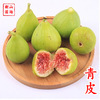 ����Ƥ�o�������硿�����t�������Ƥ��ń����δ�˹�x�շ����