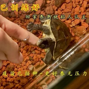 �J�����ѾW����B�������ܺ����������t��Ӗ��ճ�˺��ˌ�������