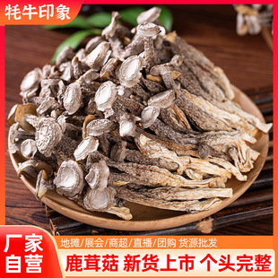 ��؛¹�׹���؛10��ɢ�b���l�����¹�׾��Ҝ���๽�㹽�r�aƷ
