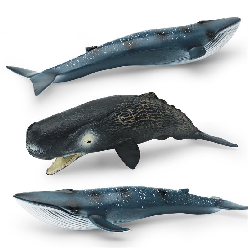 Simulación transfronteriza animal marino modelo de ballena Cognición de los niños criatura submarina cachalote Ballena Azul adornos estáticos