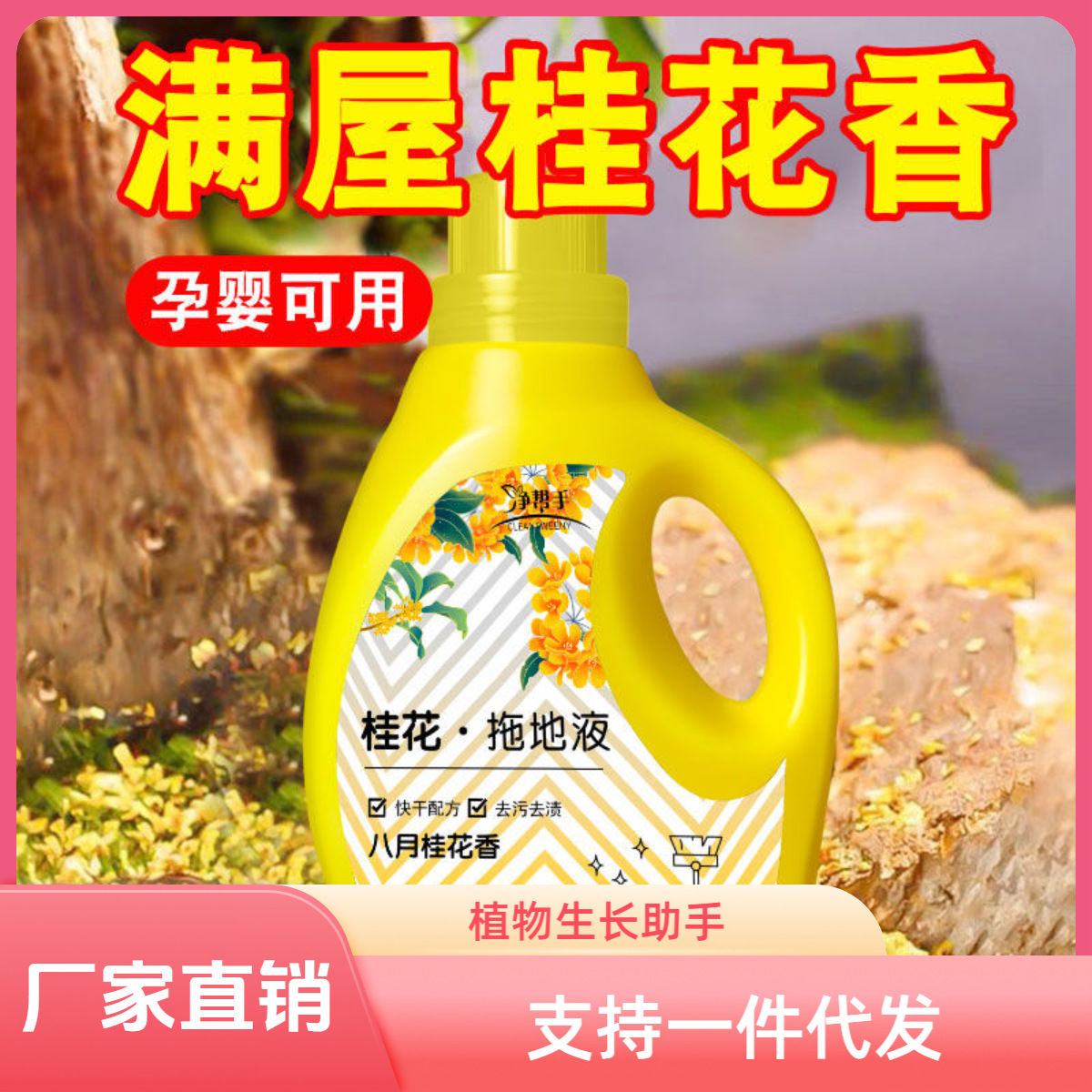Osmanthus Floor Cleaning Liquid Floor Cleaner Floor Cleaning Porcelain Agent One Mop Clean Long-Lasting Fragrance Household Cleaning Agent Manufacturer