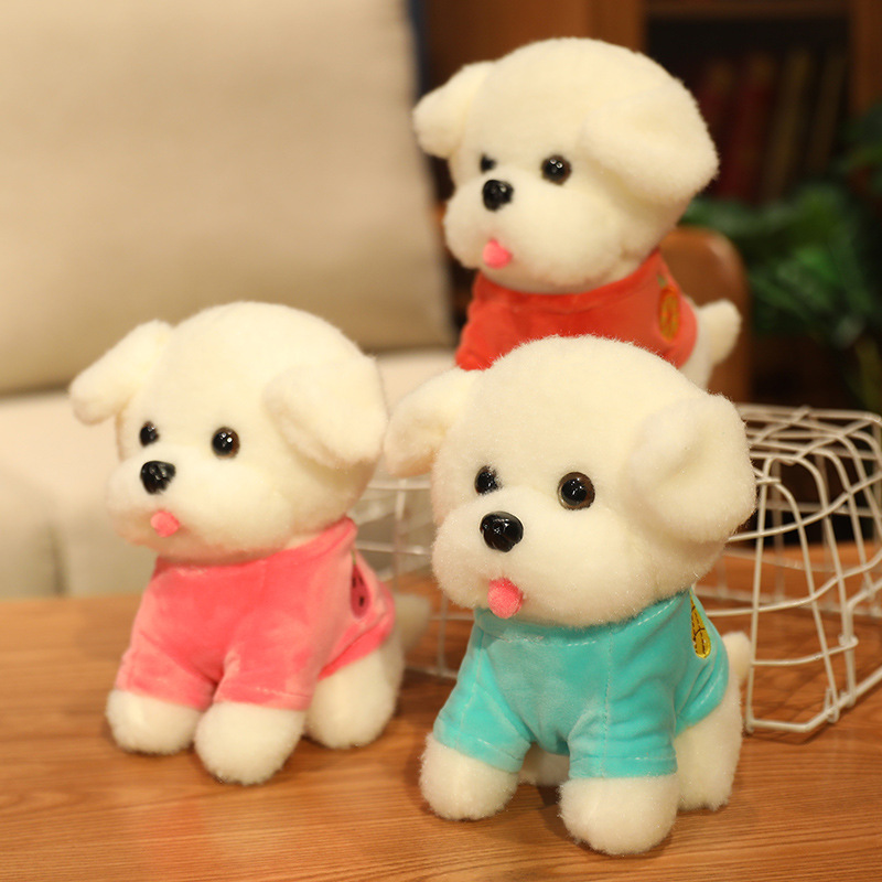Teddy dog