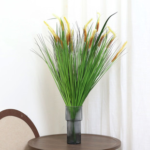 �����ѲݲݼٱRȔ�ݹ�β�Ͳ����Ի��Ҿӿ͏d�����b��̷���ֲ��