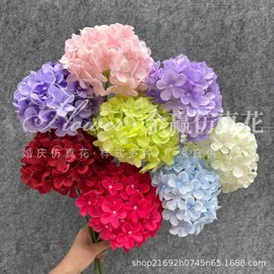 72Ƭ�����c���滨��@90����Ƶ��Y���b���·���廨�S��