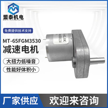 微型直流減速電機兒童玩具發牌機減速箱指紋鎖大扭力電子鎖電X20