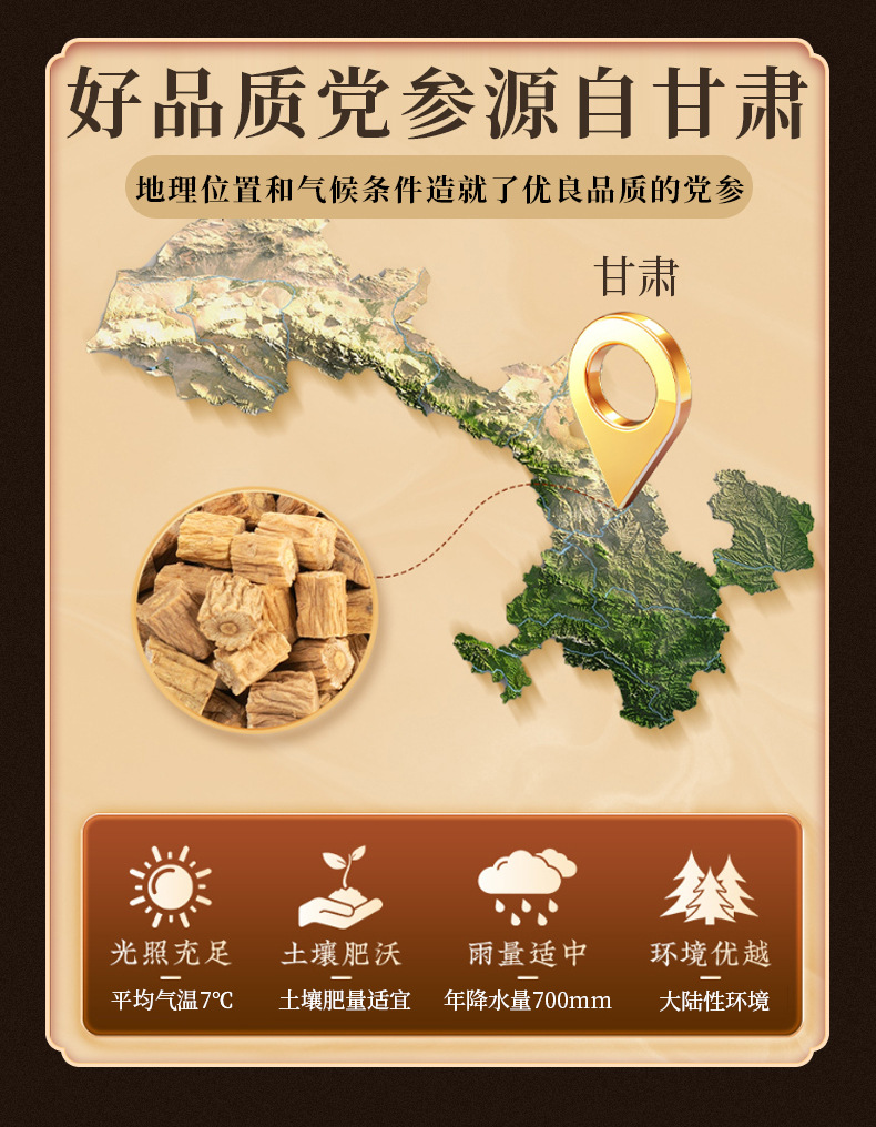 Dang Shen Root Segments (Codonopsis pilosula) — Gansu Dried Food Herb for Tea & Soup key features