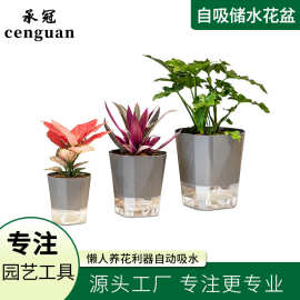 新款免浇水花盆自吸水懒人网红绿萝月季加仑盆塑料阳台兰花多肉盆