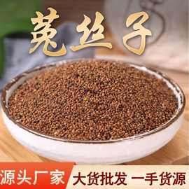 菟丝子 产地货源 内蒙水洗菟丝子茶 新货中药材 大货批发