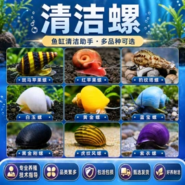 观赏鱼;其它水族用品;猫砂