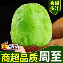 ��������J�������ھG���殐�����������r����J���ҬFժ�������