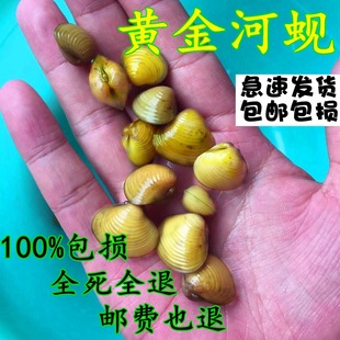 �S���͘С�Ӱ�Ϫ͘���w��ˮ��ˮԭ��С��ˮ������^�p�Ӱ��坍