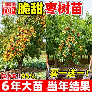 ��������ϱ����������ͺ��ش�����մ�����������������޽ӹ�����