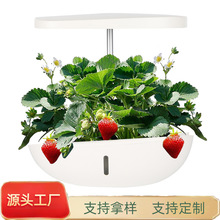 ����ˮ��N�˙C�҃�ϵ�y�o�������O��ˮ���߲�ֲ�ﻨ���ͥ�Nֲ��