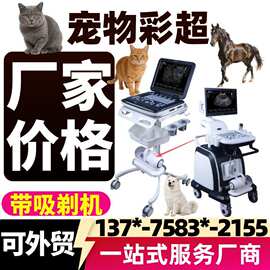 畜牧养殖用B超机 猪牛羊马驴检测 大动物B超机彩超机-工厂