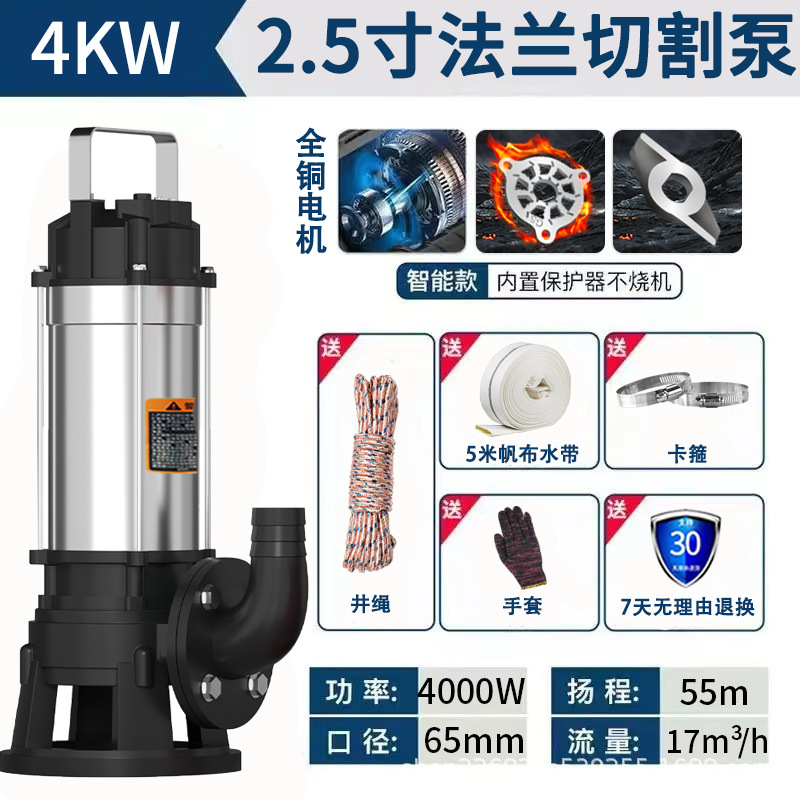 Pequeña bomba de agua agrícola bomba de corte bomba de aguas residuales bomba sumergible doméstica bomba de alta elevación 220V bomba de riego