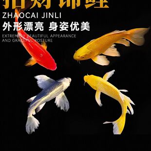 �\���^�p�~���~���~�\�����~�ݽ��~��ˮ�~��ˮ�^�p�~�����~���B