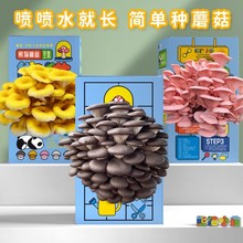 Ģ������Ģ���Nֲ��Ģ�������Y�к��bƽ�������҃ȼ�ͥ�WУ�Nֲ