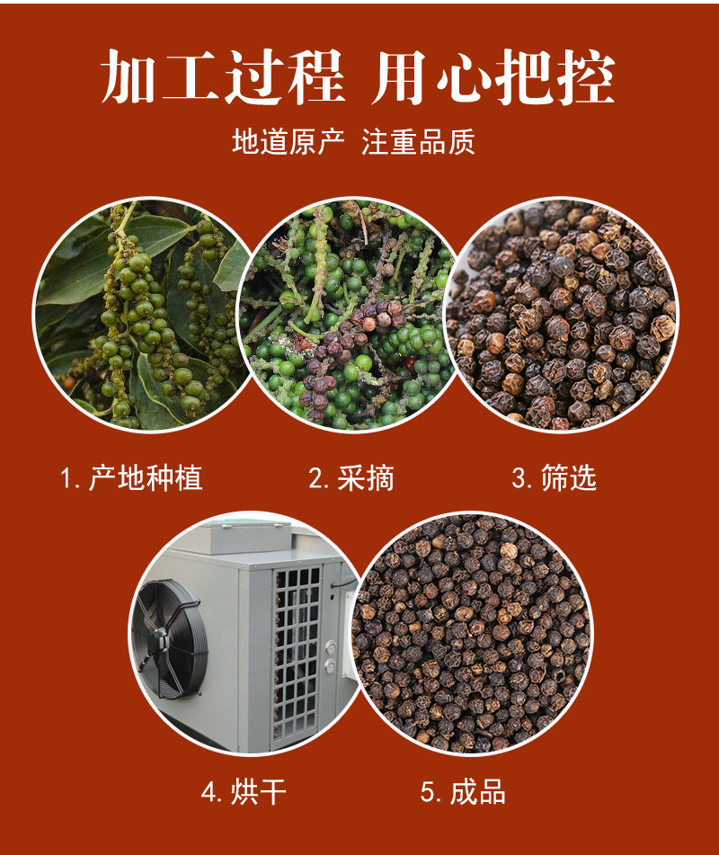 Black Peppercorns (Piper nigrum) — Whole Dried Spice, Bulk Culinary Grade in use