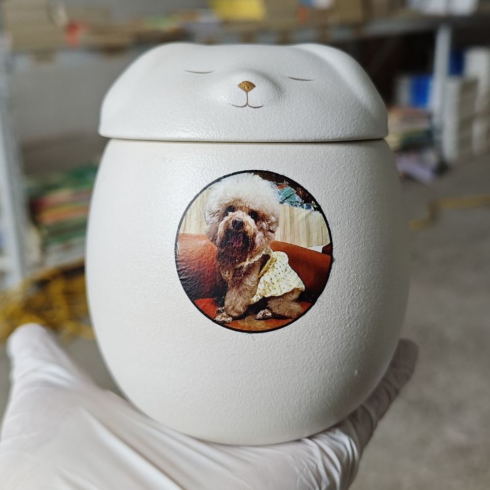 개/사진-대형 + 6inch 사진 받기