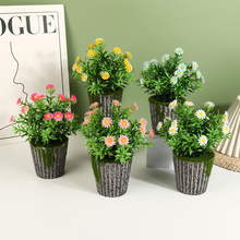 ���愓���ʯ��С̫ꖻ����Ԕ[���Ҿ��������ϼٻ����Է��滨�辰