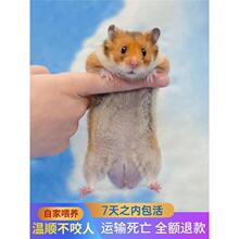 �}�������w��z�������ς}�Ϲ������Ų����̲豱���l�W�ͮ��쵽