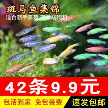 ����������������ˮ��˿���ͻ����ȸ�������ֽ�����С�͵ƿƵ�ˮ