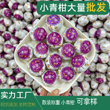 小青柑普洱熟茶正宗小青桔茶叶散茶批发柑普茶橘子香茶叶新会产