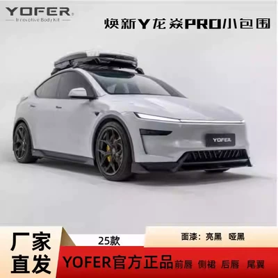 Big Surrounded Small Body Kit Yofer Front Lip, Rear