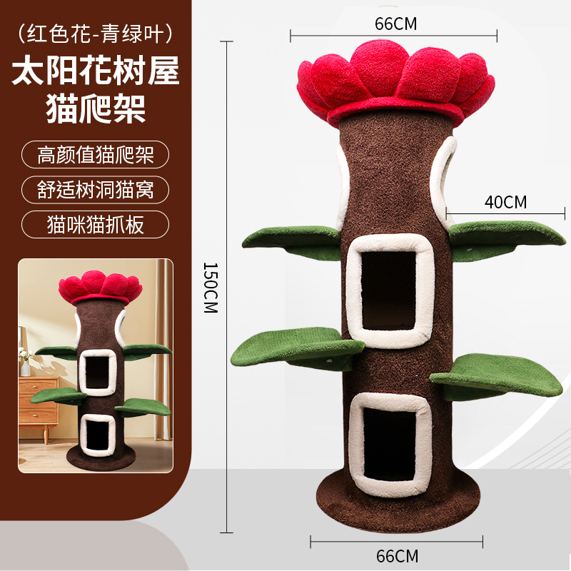 [큰 고양이 나무] 붉은 꽃이 위로 향함 + 청록색 잎