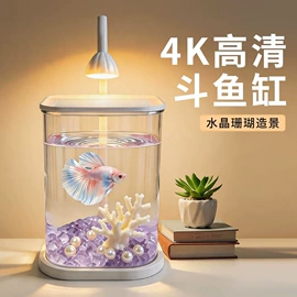 猫猫食具;鱼缸;猫猫包、箱