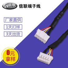 ���S���lph2.0�����B�Ӿ� ��X���C�@���B�Ӿ� 2854��s���ξ�