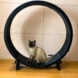 猫咪跑步机宠物猫健身猫咪磨爪静音滚轮跑步机宠物跑步机宠物玩具