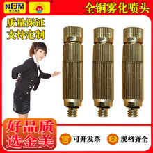 �͉���弚�F�F�����^ �@���Fɭ�쾰�S�����ؼӝ��ܳ��m����