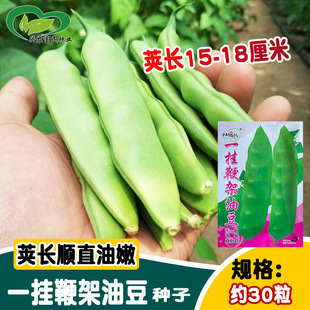�Ѓ�һ��޼��Ͷ��N�� ���v���� �|���Ͷ��N�� �ˈ@�r���׷N �߲�