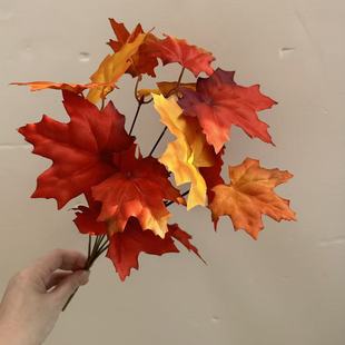 ��Ʒ���~6��16Ƭ���~������~�����Ҿӻ�c�bzӰ���Sֱ�N�羳