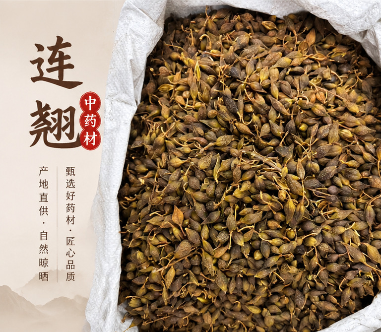 Forsythia Fruit Lian Qiao Powder 1000g Bag Shanxi Origin Culinary Herbal Ingredient overview