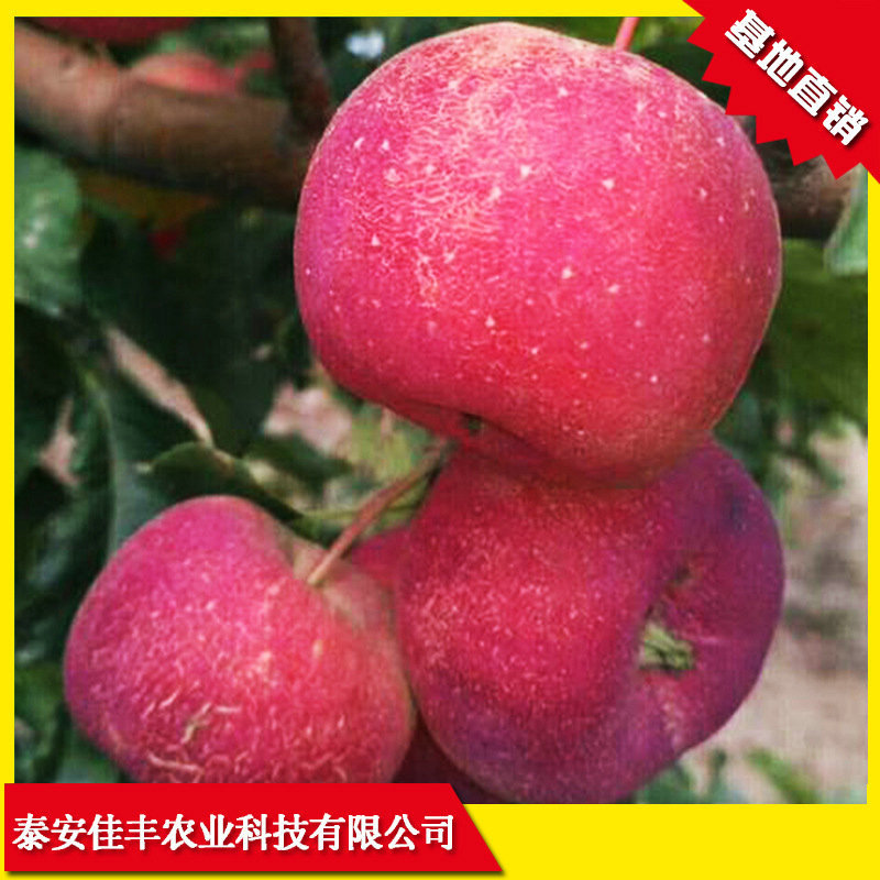 9069019499_1997219560