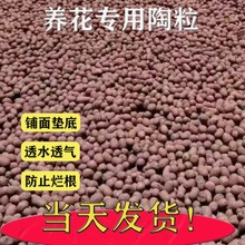 陶粒养花通用型盆垫底园艺多肉专卉球土植物铺面水培专用一件包邮