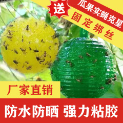 果实蝇球大柑橘实蝇神器瓜果蜂蜂诱捕球诱蝇球粘蝇球大果蝇诱捕球