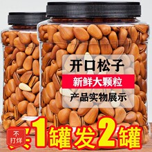 ���Ӵ�|���_�ڴ��w���ٷ���Ş���ք�����2024��؛��������