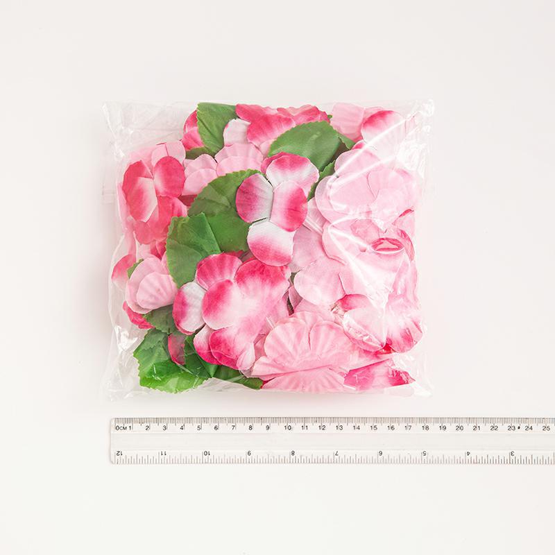 BH0A7574_毒霸看图